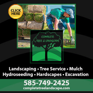Complete Tree & Landscape Inc Website Image